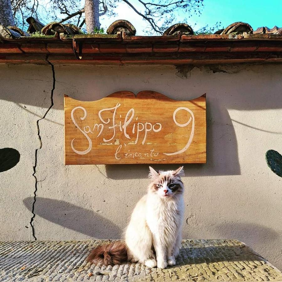 Villa San Filippo Αρέτσο Εξωτερικό φωτογραφία